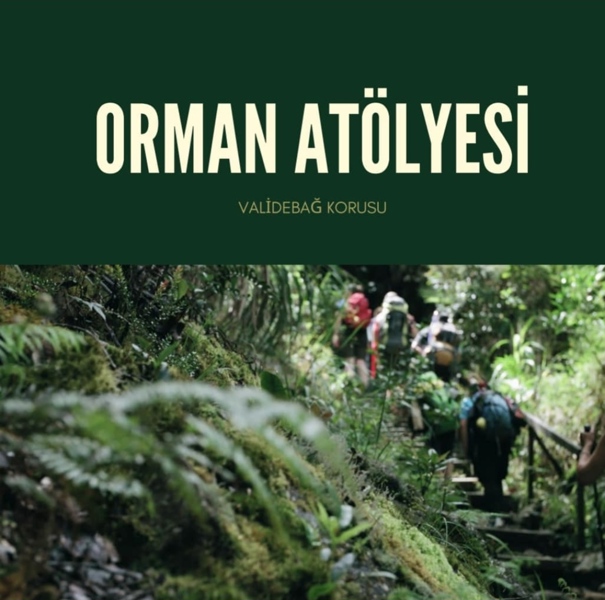 Orman Atölyesi