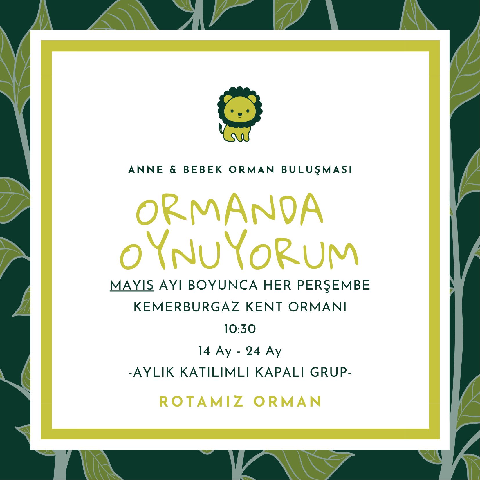 Ormanda Oynuyorum (14 Ay-2 Yaş)